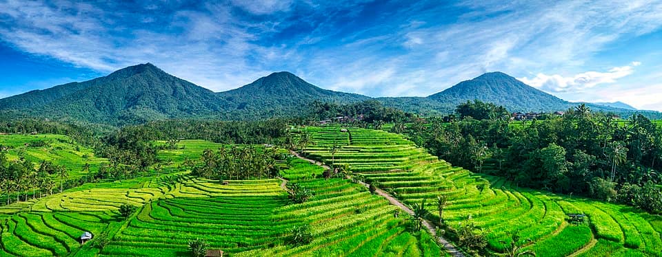 The Subak System